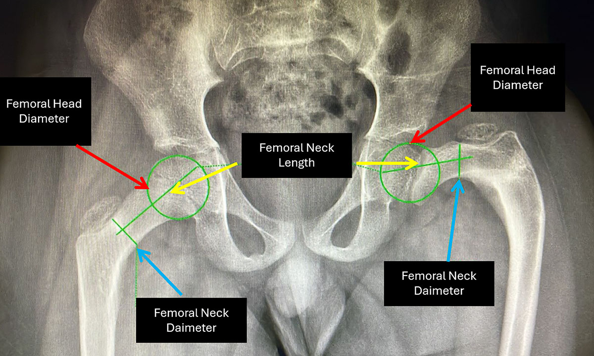 Figure 1 Refer to the following caption and surrounding text.