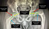 Thumbnail: Figure 1 Refer to the following caption and surrounding text.
