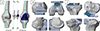Thumbnail: Figure 2 Refer to the following caption and surrounding text.
