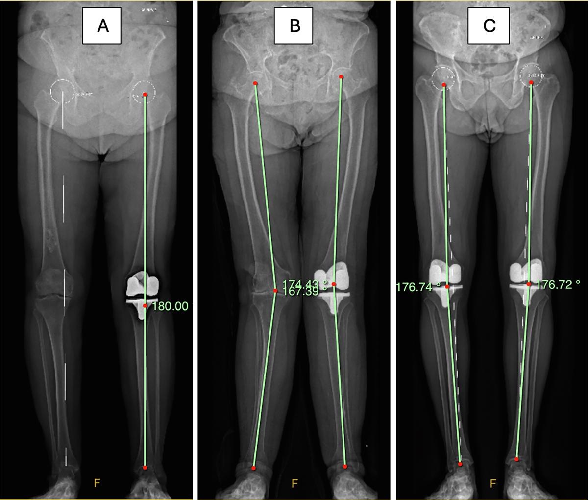Figure 3 Refer to the following caption and surrounding text.