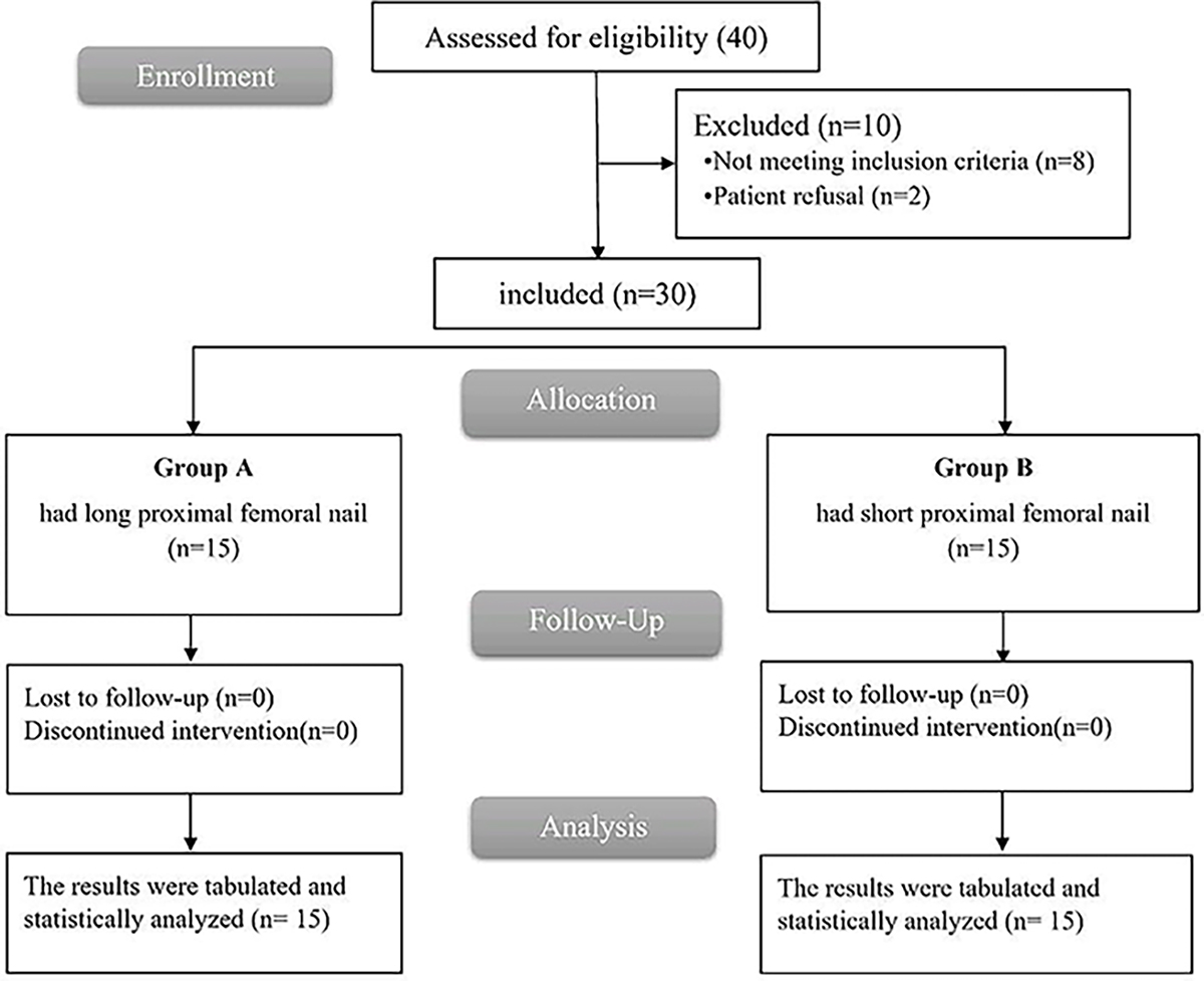 Figure 2 Refer to the following caption and surrounding text.