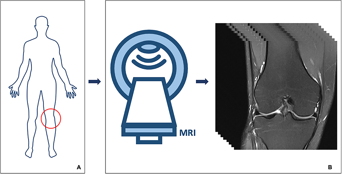 Figure 1 Refer to the following caption and surrounding text.