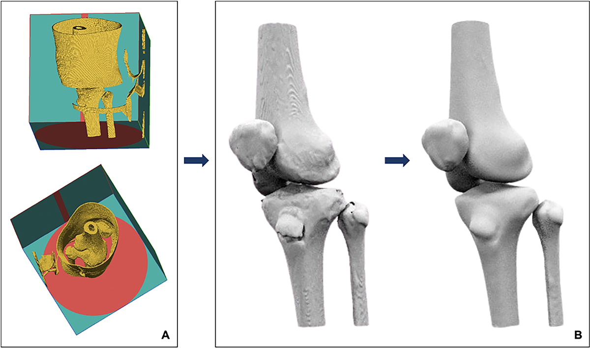 Figure 2 Refer to the following caption and surrounding text.