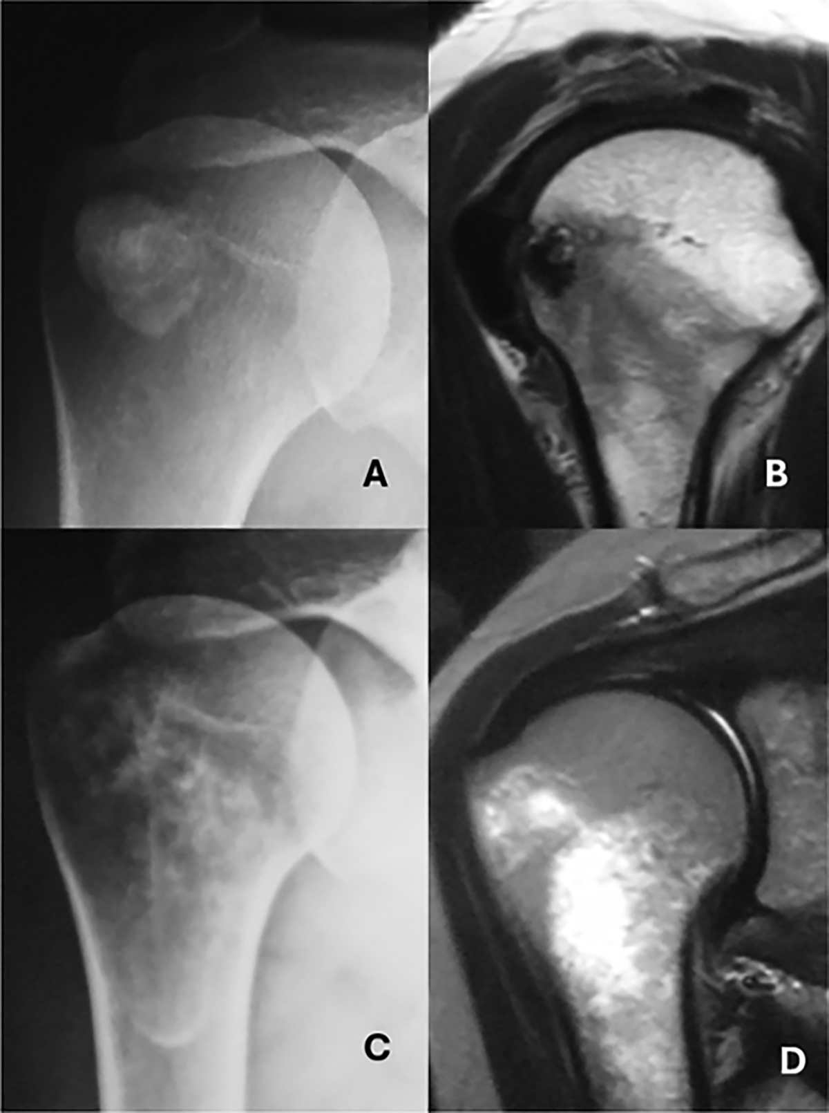 Figure 5 Refer to the following caption and surrounding text.
