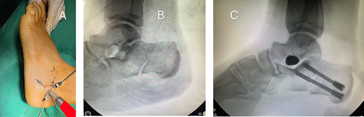 Figure 1 Refer to the following caption and surrounding text.