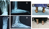 Thumbnail: Figure 3 Refer to the following caption and surrounding text.