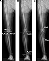 Thumbnail: Figure 1 Refer to the following caption and surrounding text.