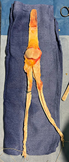 Thumbnail: Figure 1 Refer to the following caption and surrounding text.