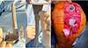 Thumbnail: Figure 2 Refer to the following caption and surrounding text.