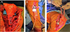 Thumbnail: Figure 3 Refer to the following caption and surrounding text.