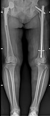 Thumbnail: Figure 1 Refer to the following caption and surrounding text.