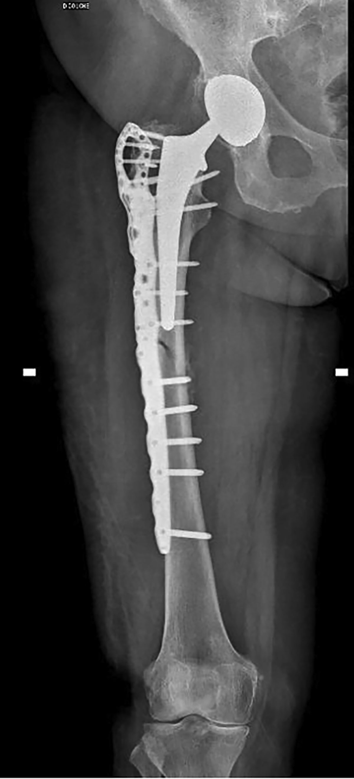 Figure 3 Refer to the following caption and surrounding text.