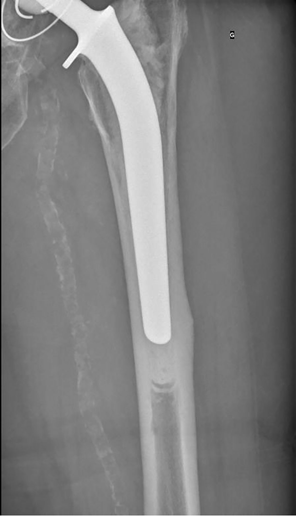 Figure 7 Refer to the following caption and surrounding text.