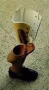 Thumbnail: Figure 1 Refer to the following caption and surrounding text.