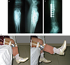 Thumbnail: Figure 2 Refer to the following caption and surrounding text.