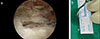 Thumbnail: Figure 1 Refer to the following caption and surrounding text.