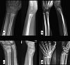 Thumbnail: Figure 2 Refer to the following caption and surrounding text.