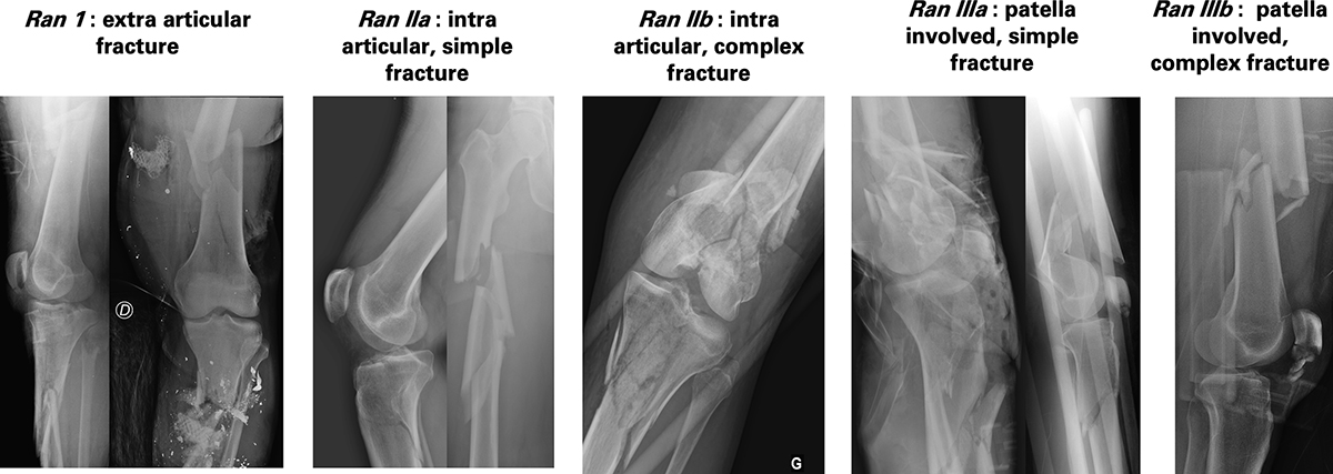 Figure 1 Refer to the following caption and surrounding text.