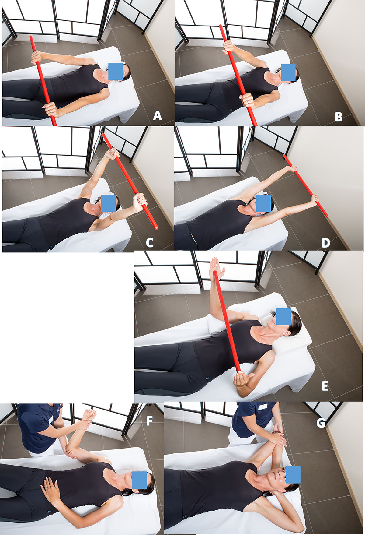 Figure 2 Refer to the following caption and surrounding text.