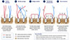 Thumbnail: Figure 2 Refer to the following caption and surrounding text.