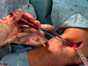 Thumbnail: Figure 4 Refer to the following caption and surrounding text.